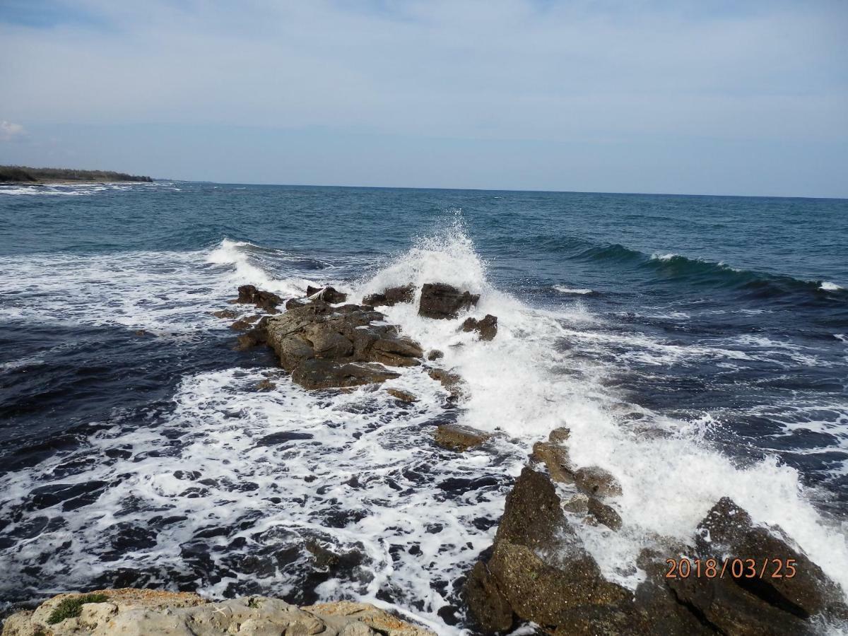 Location Vacances Linguizzetta 외부 사진